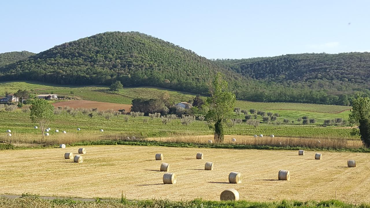 Agriturismo Cupido Montiano  Exteriör bild
